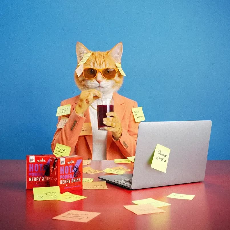 Cat creative professional multitasking at a laptop surrounded by project notes