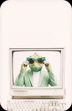 Chameleon creative professional wearing sunglasses inside a retro computer screen