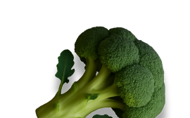 Broccoli