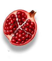 Pomegranate