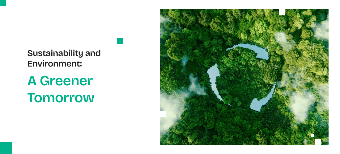 Sustainability and Environment
