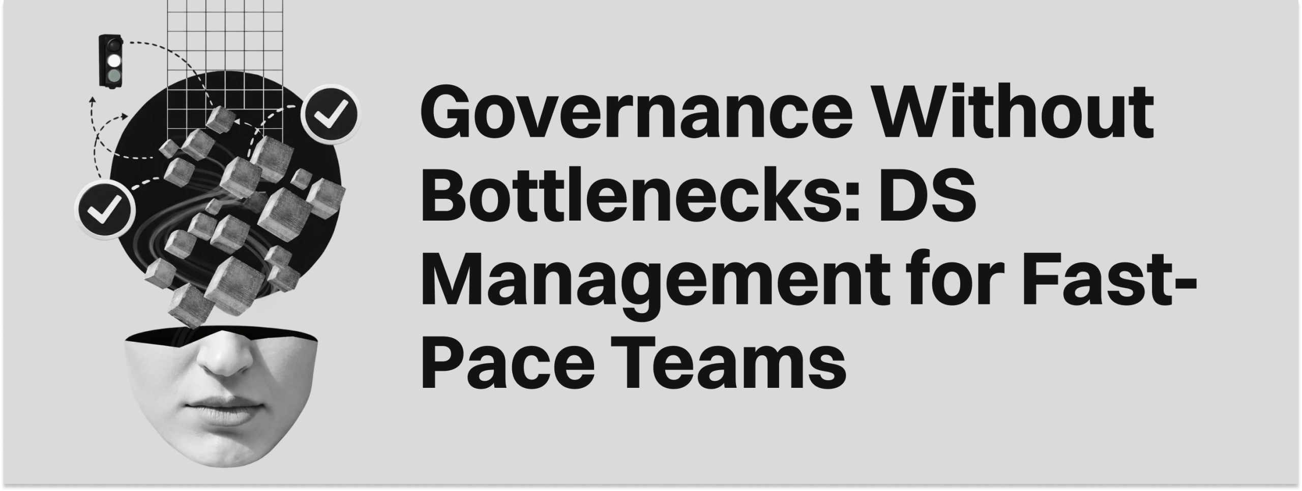 Governance Without Bottlenecks: DS Management for Fast-Pace Teams